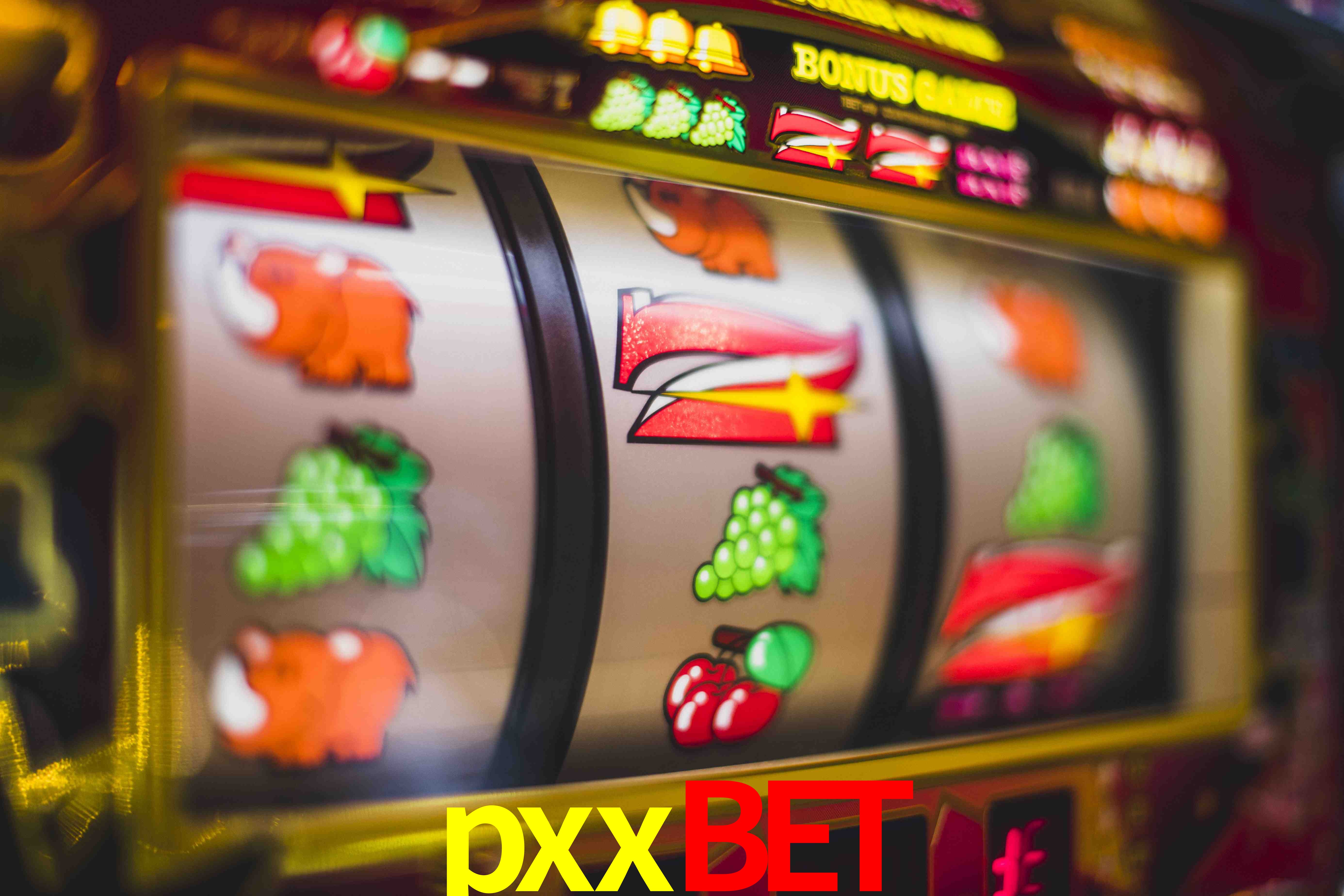 Experiência VIP pxxbet