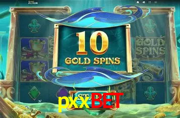 A Experiência Imersiva dos Cassinos Ao Vivo no pxxbet