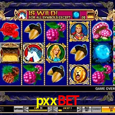 pxxbet Brasília - Casino Guide